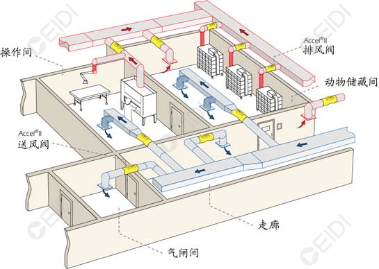 動物房潔凈室空調(diào)設(shè)計：開放式籠架具屏障環(huán)境送回風(fēng)設(shè)計要點(diǎn)  CEIDI西遞