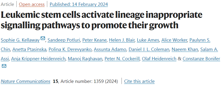 Natu Commun：揭示白血病干細(xì)胞在化療后促進(jìn)自身生長(zhǎng)機(jī)制