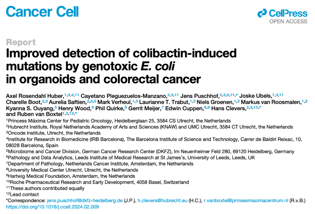 類(lèi)器官之父發(fā)表Cancer Cell論文：揭示大腸桿菌的基因毒性作用